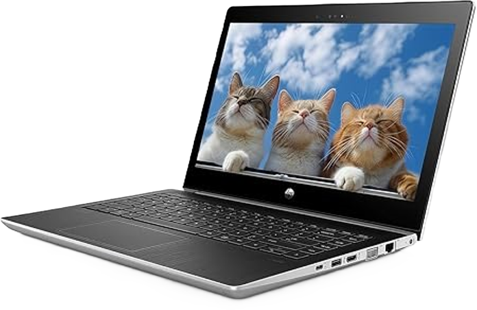 HP MT31 Mobile Thin Client Celeron 3867U | 8GB RAM | 256GB SSD | 13.3" HD (Pre-Owned)